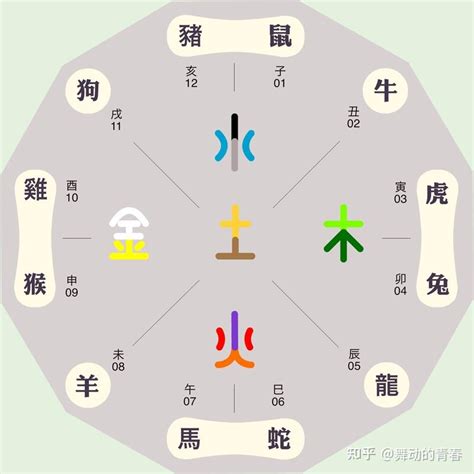 戊辰龍五行|生肖屬龍人的五行與財運